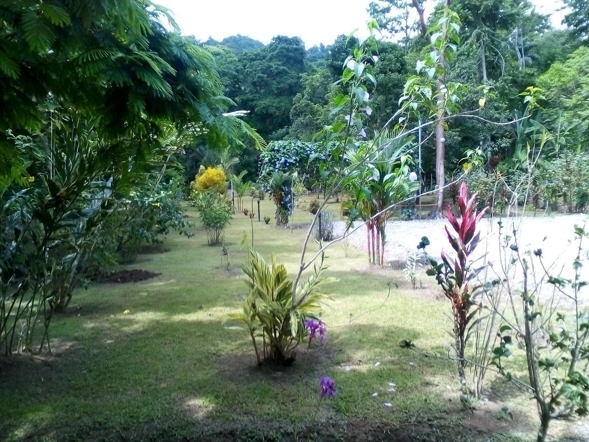 Puerto Vargas Lodge Cahuita Extérieur photo