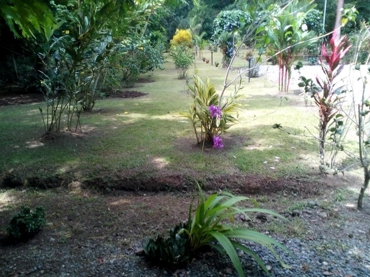 Puerto Vargas Lodge Cahuita Extérieur photo
